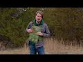 Extreme Armor Panel Test - PERAPLUS-GEN7 based Soft Armor vs Multiple Calibers