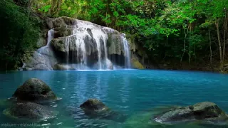 OMG Oriental Music فيروز كيفك إنتا 