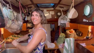 S2E22 Dogs and Cats of the DR, sorting hardware, and bee update (Dominican Republic)