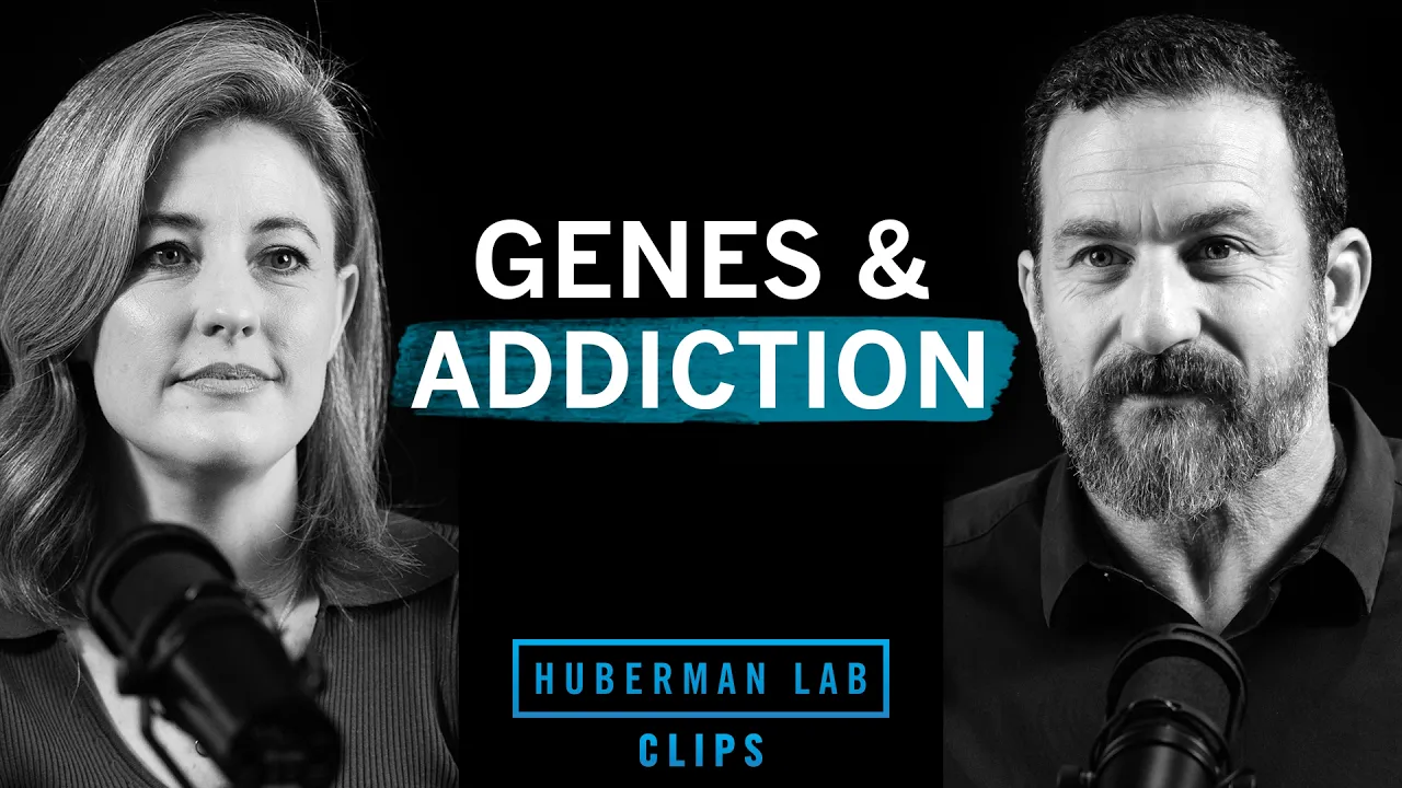 Understand Your Genetic Risk for Addiction | Dr. Kathryn Paige Harden and Dr. Andrew Huberman