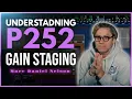UNDERSTANDING P252 GAIN STAGING with Marc Daniel Nelson