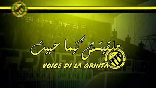 Usmh El Harrache Ya Rabi Ana 3yit Vidéo Lyrics 2019 