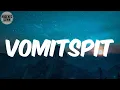Download Lagu Vomitspit (Lyrics) - MF DOOM