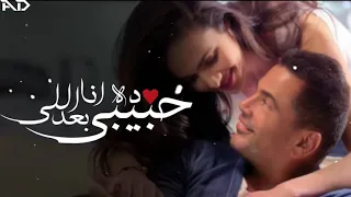 وانا ليا مين في الدنيا بعد حبيبي 