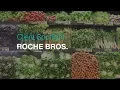 Roche Bros Grocery Chain Sikich