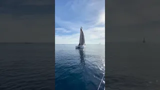 Toby Hodges spots the new Lagoon 43 while testing the J40 for the European Yacht of the Year Awards.