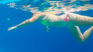 Bonaire, the most BEAUTIFUL SEA Water in the Caribbean. Sailing Ocean Fox Ep 70