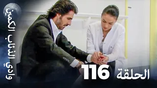 وادي الذئاب الكمين الحلقة 116 بجودة عالية الدقة  وادي الذئاب الكمين الحلقة 116 بجودة عالية الدقة