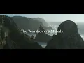 The Wayshower's Melody - Dylan John Sparkes | (Healing Piano Music)