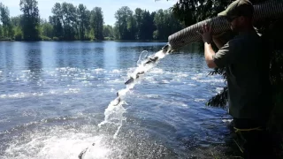 Twin Lakes Fish Stocking Experience