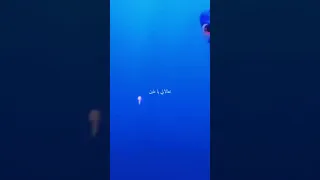 كرتون السمكه نيمو تعالالي يا ملبن 