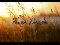 Iron and Wine - Fever Dream with lyrics (Requested)