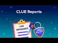 CLUE Reports