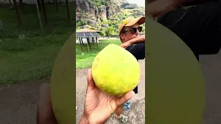 Arriving in PARADISE After Sailing Across The Pacific  #travel  #marquesas  #sailaroundtheworld