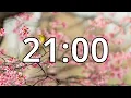 21 Minutes Timer with Relaxing Music Cherry Blossom Timer
