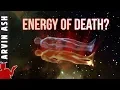 What happens to your energy when you die?