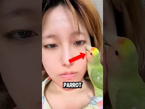 THIS PARROT MIGHT BE THE KINDEST BIRD IN THE WORLD! 🥰❤️