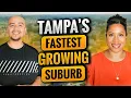 Why Everyone s Moving to Wesley Chapel Florida 2025 Guide Tampa s Fastest-Growing Suburb