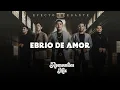 Ebrio de Amor - Efecto Elegante // LO MAS NUEVO 2026