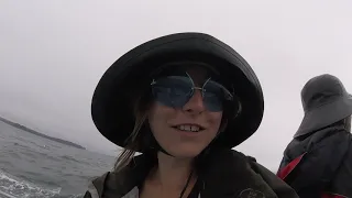 Quick Eggemoggin Reach Regatta Tour with Anne