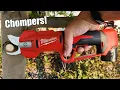 Milwaukee Tool M12 Brushless Pruning Shears Review 2534-20 2534-21