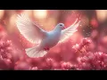 Download Lagu Holy Spirit Clearing All Dark Energy With Alpha Waves - Goodbye Fears In The Subconscious