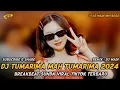 Download Lagu DJ TUMARIMA MAH TUMARIMA 2024 BREAKBEAT SUNDA VIRAL TIKTOK TERBARU [ DJ WADI BREAKBEAT OFFICIAL ]