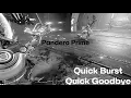 Warframe - PANDERO PRIME BUILD 2026 3 FORMA SECONDARY FIRE ONLY