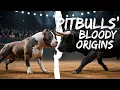 Discovering The Fascinating Historical Roots Of Pit Bulls Pitbull Facts
