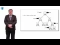 PseudoCode Binary Trees