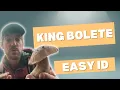King Bolete Identification A Simple Guide for Beginners