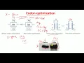 Codon optimization for beginners Codon bias