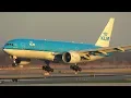 4K Evening Arrivals into JFK