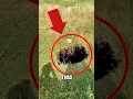 Don’t Get Close to This Hole – It’s Deadly‼️🏃