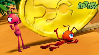 Schokoladenmünze | Antiks - Lustige Cartoons für Kinder | Moonbug Kids Deutsch