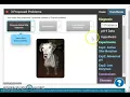 Enzyme gizmo part B
