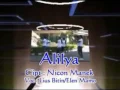 Download Lagu Lagu timor alilya. Voc luis bitin/elen mamo