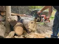 STIHL 023 Cold Start Test Cuts eBay 10