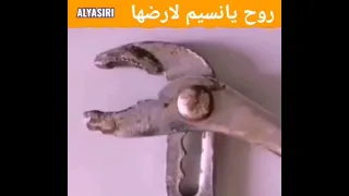 روح يانسيم لارضها 