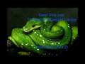 Collections Part 2 namedtuple ChainMap OrderedDict Deep Dive into the Python Standard Library