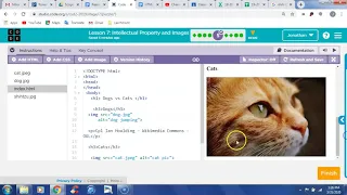Code Org Unit 2 Lesson 7