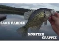 Lake Pardee Crappie Fishing DropShot Roboworm