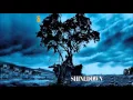 Shinedown - 45 (Acoustic)