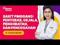 Download Lagu Sakit Pinggang: Penyebab, Gejala, Pengobatan, dan Pencegahan