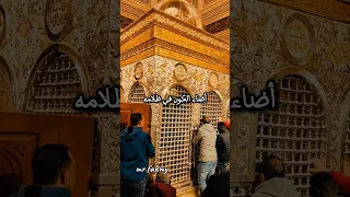 ده حبيب الله رسول الله ومصطفاه   سيدنا يا ابا الزهراء نظرة يا ناس مشتاق دندنها