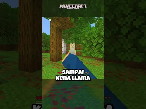 Cara Counter Serangan Llama