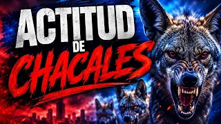Actitud de Chacales | Génesis versículo a versículo