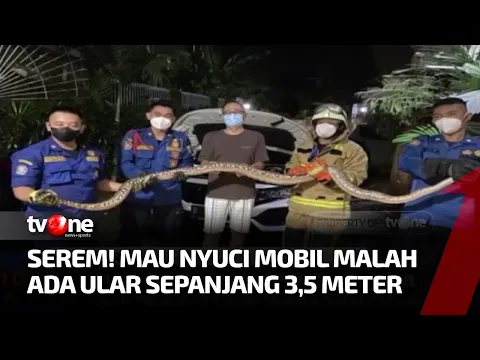 Hendak Mencuci Mobil, Pemilik Dikejutkan Dengan Sosok Ular Sepanjang 3,5 Meter