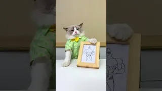 Leonardo DePuff Gets His Art On With Some Great Hacks Today Thatlittlepuff Catsofyoutube 