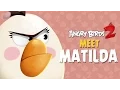 Angry Birds 2 - Meet Matilda Explosive Spirit